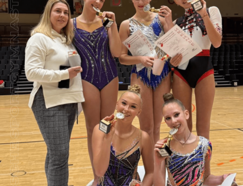 Rhythmische Sportgymnastik erfolgreich unterwegs